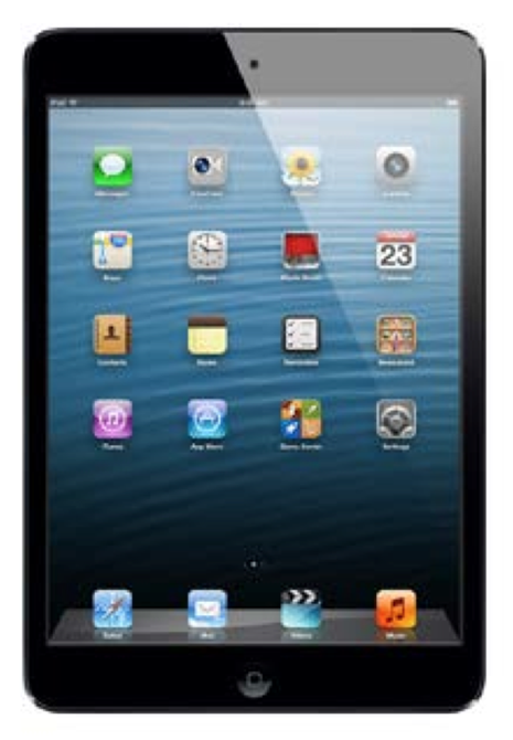 4Vu Privacy Screen Filter For Apple IPad Mini