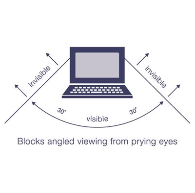 Picture of Privacy Screen 22"W (16:10)