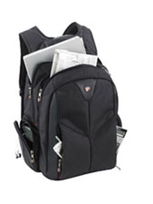 Corporate Laptop Backpack
