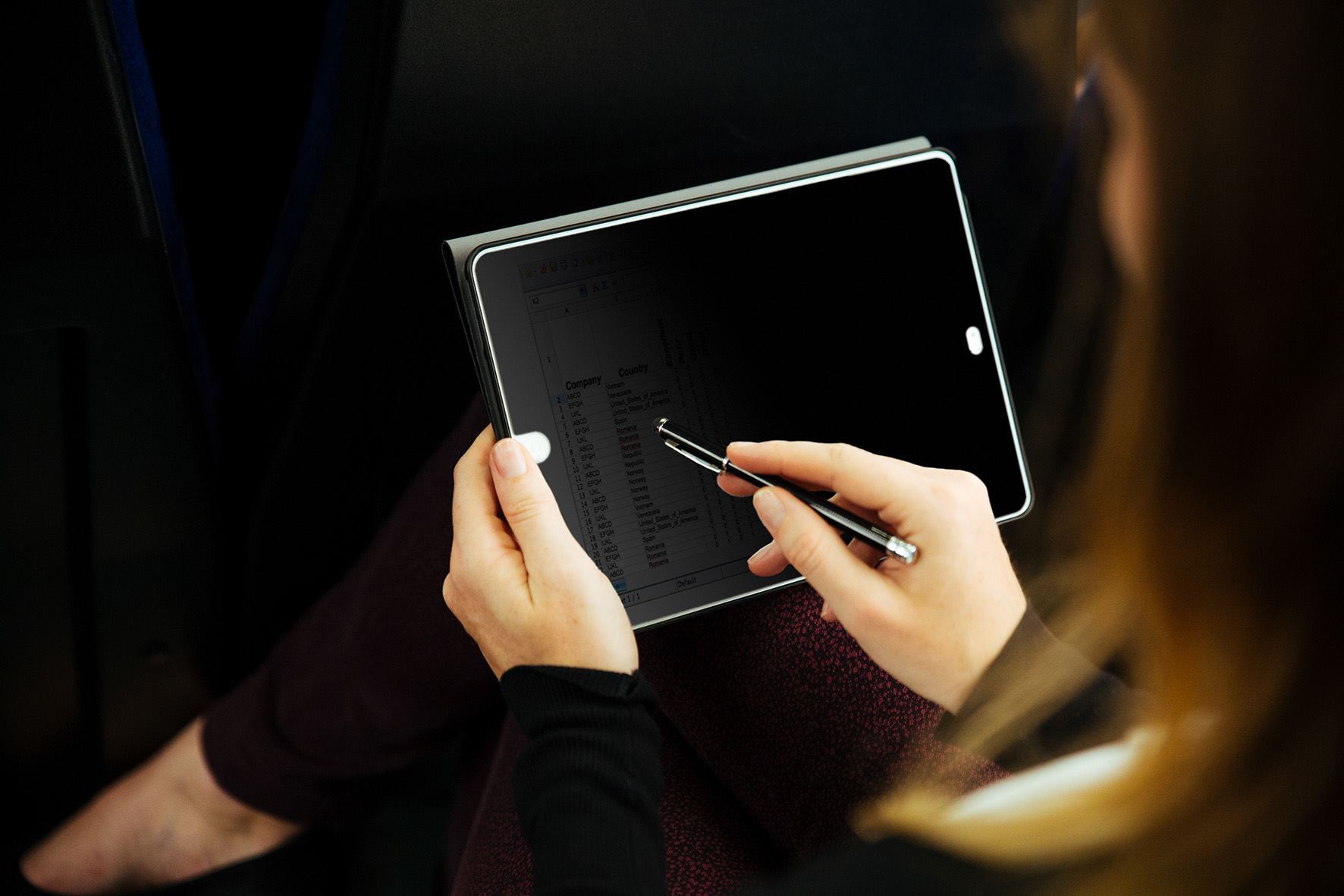 Privacy Screen for iPad Mini 1/2/3/4