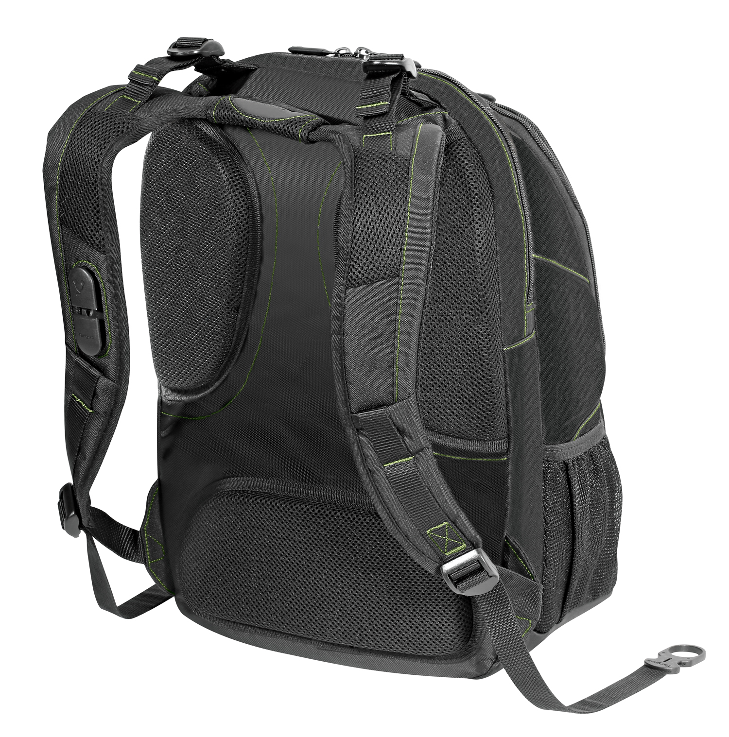 targus spruce 15.6 backpack